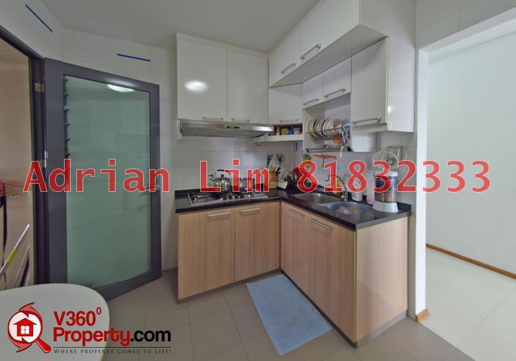 Blk 1B The Pinnacle@Duxton (Bukit Merah), HDB 4 Rooms #112019922